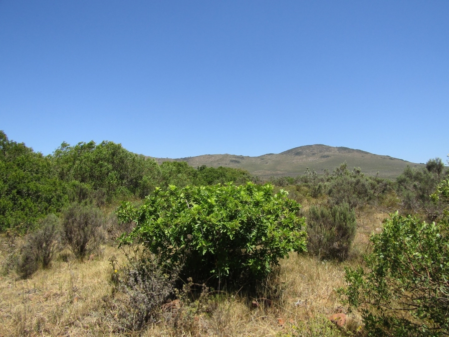 0 Bedroom Property for Sale in Humansdorp Rural Eastern Cape